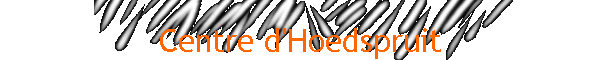 Centre d'Hoedspruit
