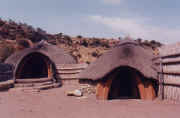 basotho1.JPG (36542 octets)